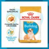 Alimento Royal Canin BHN Bulldog Puppy 2.72kg